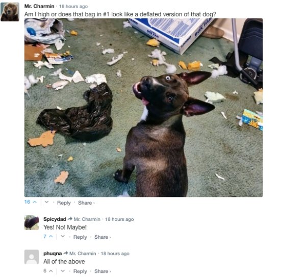Sarcastic Comments (72 pics)