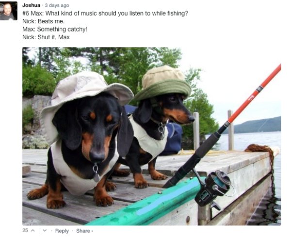 Sarcastic Comments (72 pics)