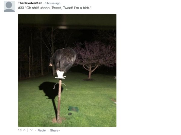 Sarcastic Comments (72 pics)