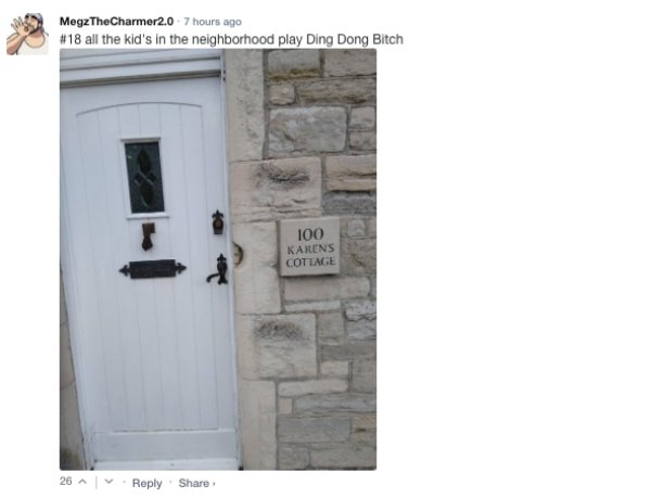 Sarcastic Comments (72 pics)