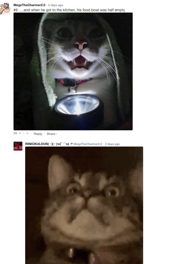 Sarcastic Comments (72 pics)