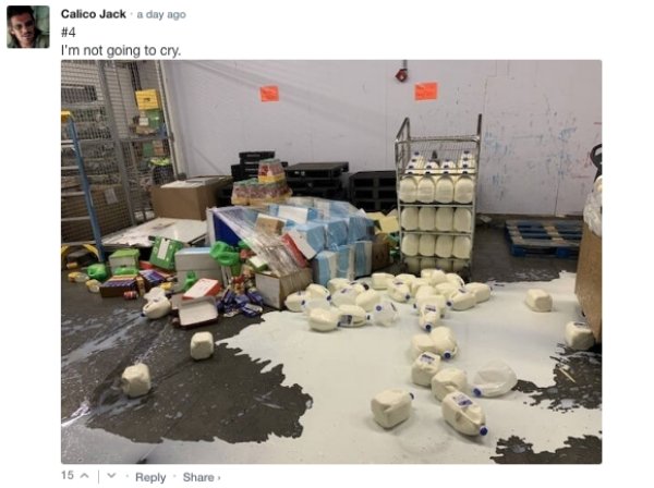Sarcastic Comments (72 pics)