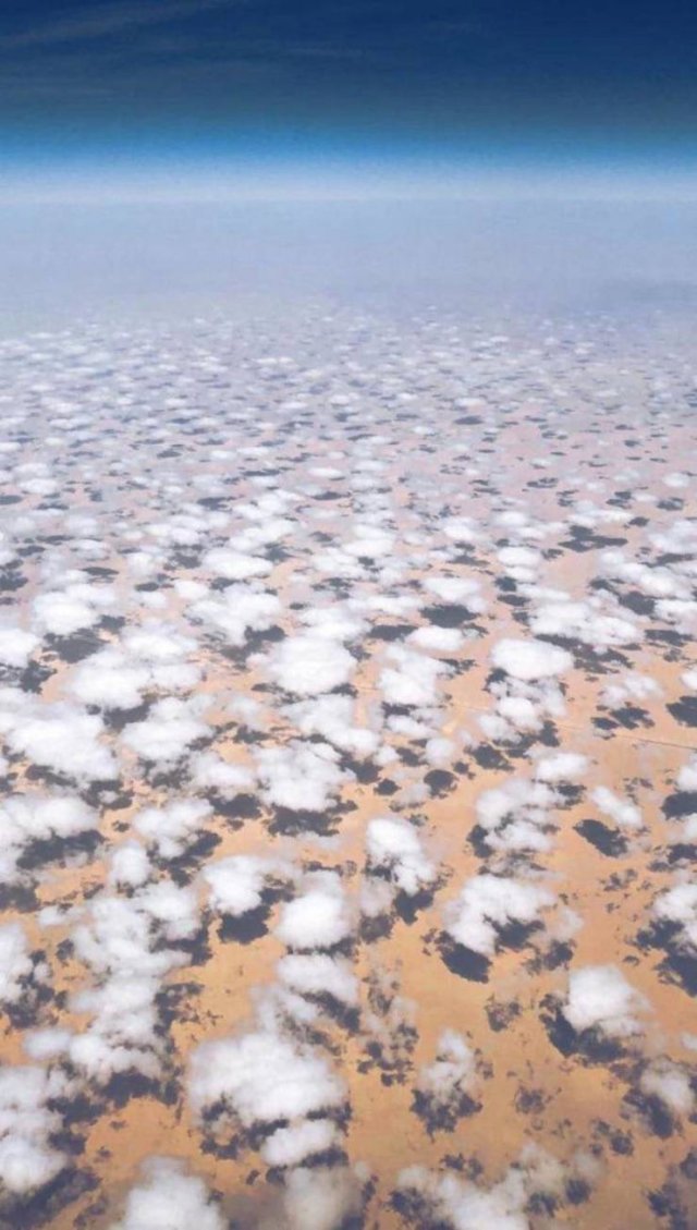 Awesome Pictures (47 pics)