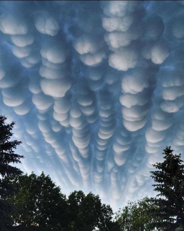 Awesome Pictures (47 pics)