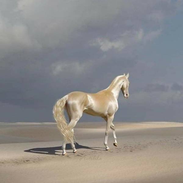 Awesome Pictures (47 pics)