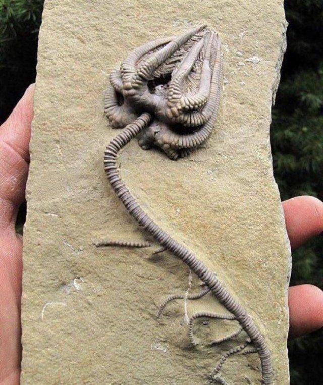 Awesome Pictures (47 pics)