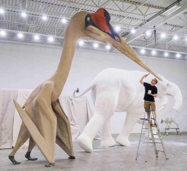 Awesome Pictures (47 pics)