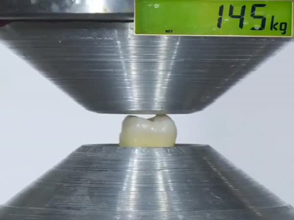 Teeth Are Very Strong