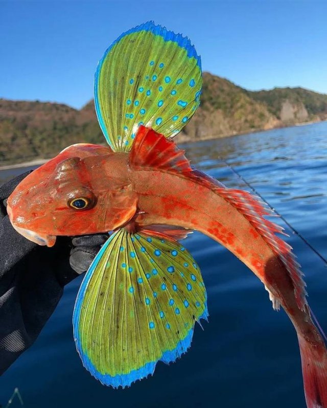 Amazing Pictures (17 pics)