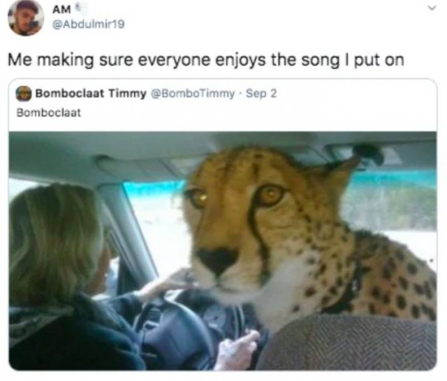 Random News And Humor (39 pics)