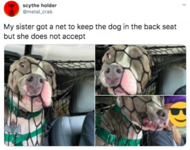 Random News And Humor (39 pics)
