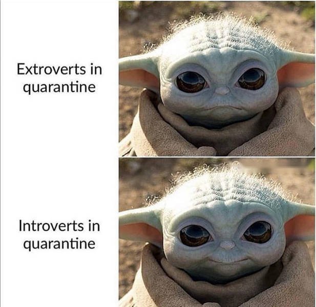 Introvert Memes (22 pics)