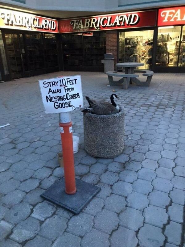Only In Canada (24 pics)