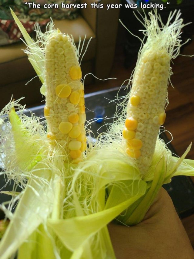 Bad Days Happen (46 pics)