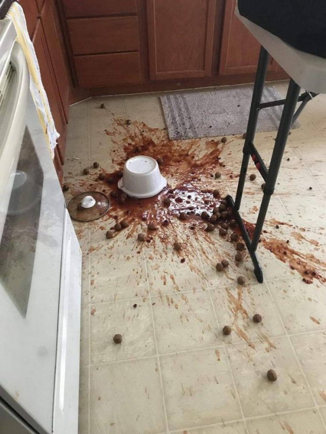 Bad Days Happen (46 pics)