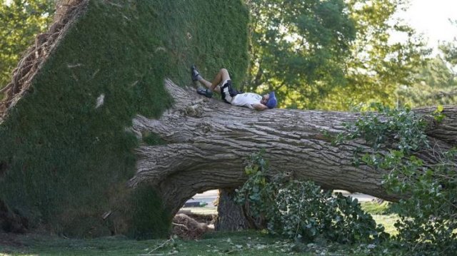 Acid Picdump. Part 1 (95 pics)