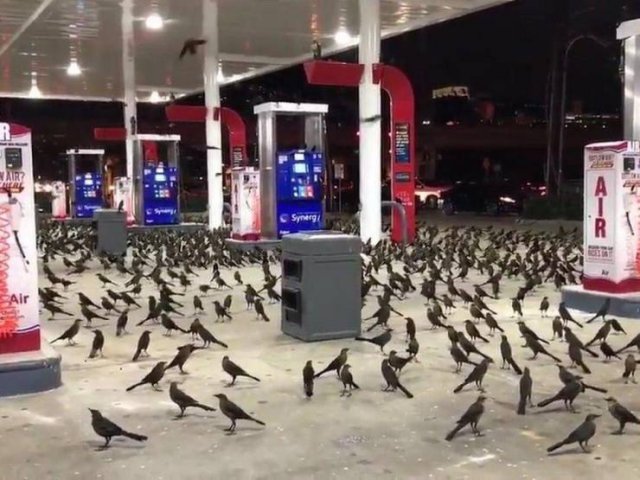 Acid Picdump. Part 1 (95 pics)