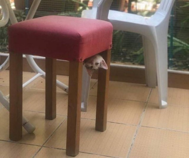 Acid Picdump. Part 1 (95 pics)