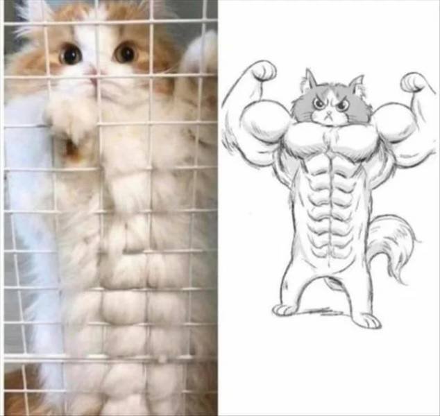 Acid Picdump. Part 2 (95 pics)
