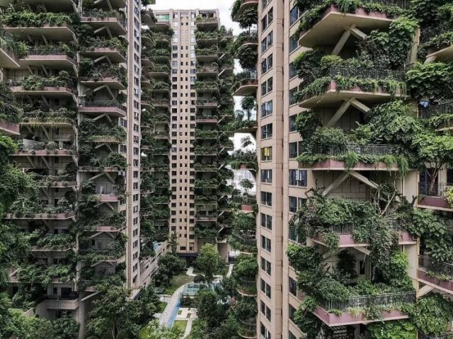 Acid Picdump. Part 1 (95 pics)