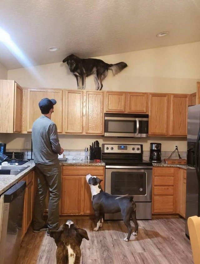 Acid Picdump. Part 1 (95 pics)