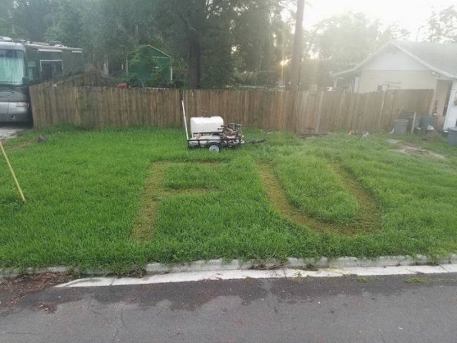 Acid Picdump. Part 1 (95 pics)