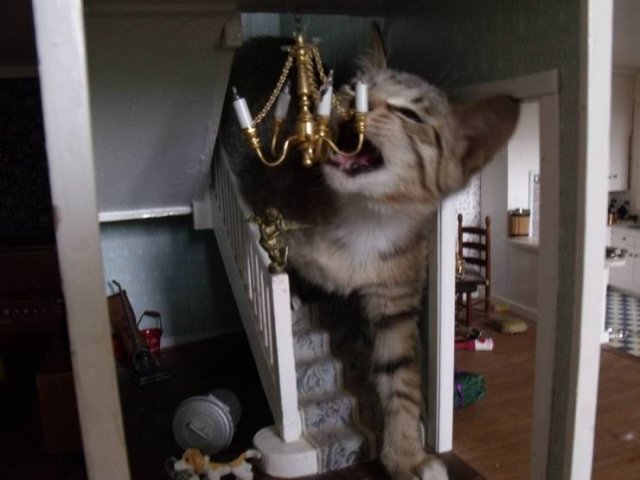 Acid Picdump. Part 1 (95 pics)