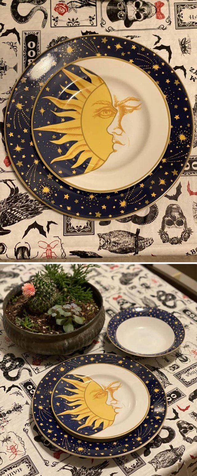Thrift Store Treasures (50 pics)