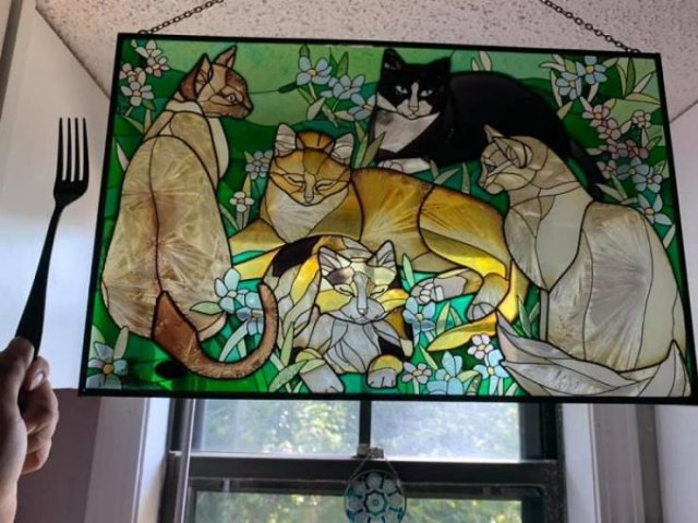 Thrift Store Treasures (50 pics)