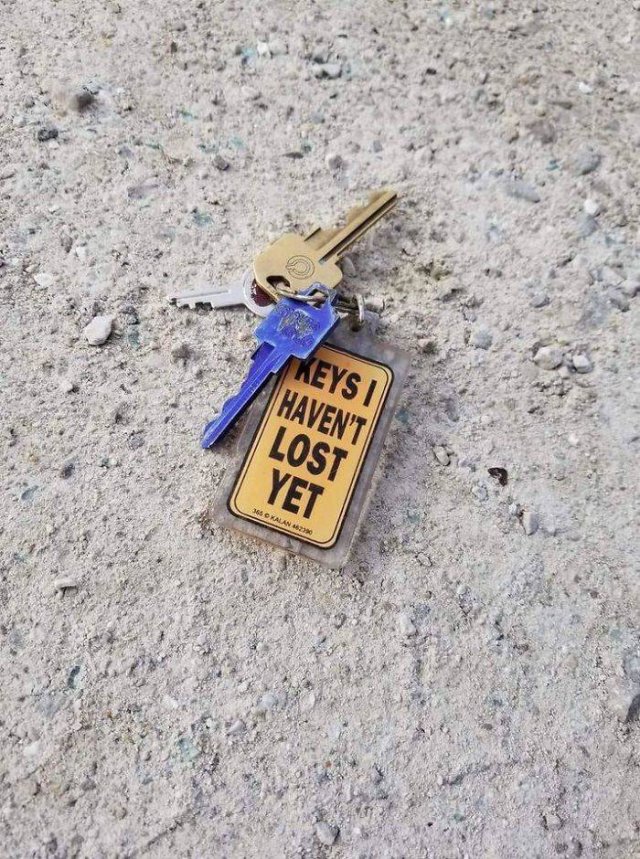 Thrift Store Treasures (50 pics)