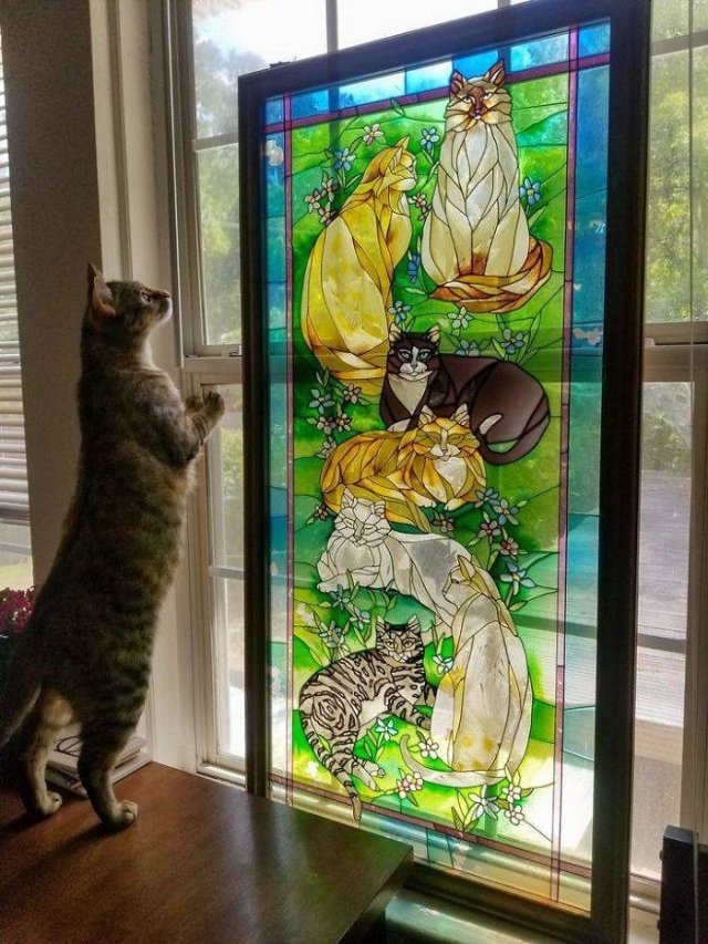 Thrift Store Treasures (50 pics)