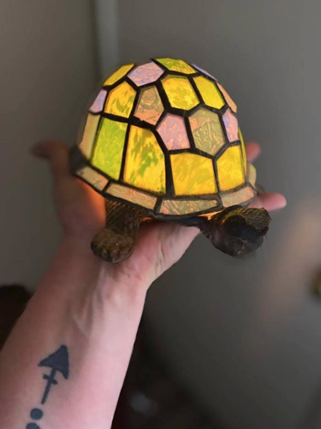 Thrift Store Treasures (50 pics)
