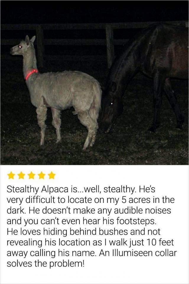 Internet Reviews (14 pics) Internet Reviews (14 pics)