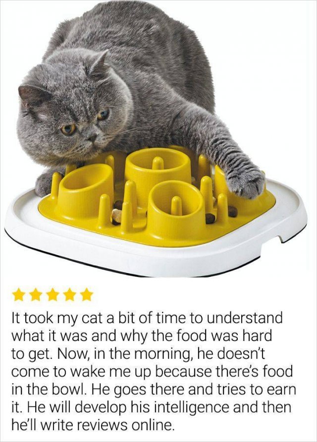 Internet Reviews (14 pics) Internet Reviews (14 pics)