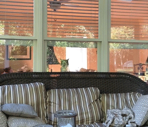 Hilarious Animals (14 gifs)