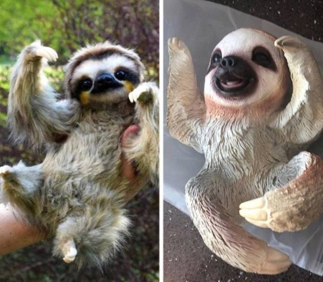 Online Shopping Went Wrong (20 pics)