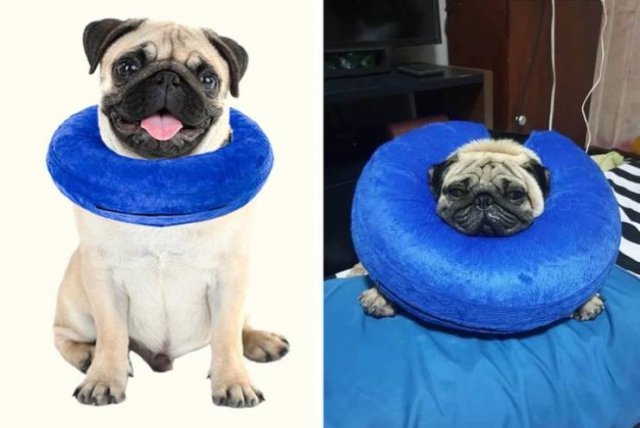 Online Shopping Went Wrong (20 pics)