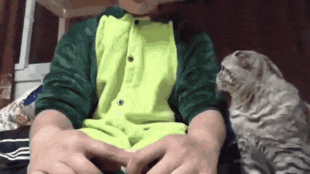 Acid Gifdump, September 16 (25 gifs)