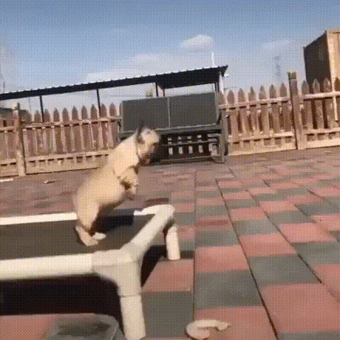 Acid Gifdump, September 16 (25 gifs)
