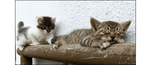 Acid Gifdump, September 16 (25 gifs)