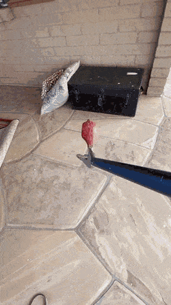 Acid Gifdump, September 16 (25 gifs)
