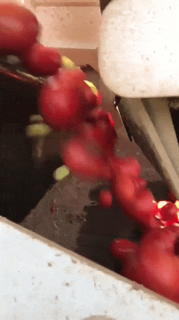 Acid Gifdump, September 16 (25 gifs)