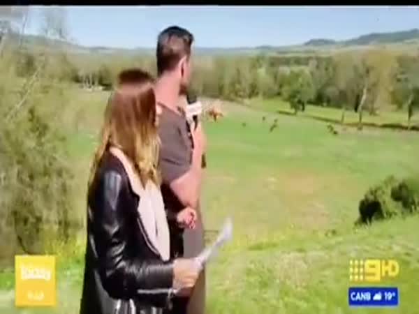 Just Thor Being Chris Hemsworth And Crashing A Live Broadcast