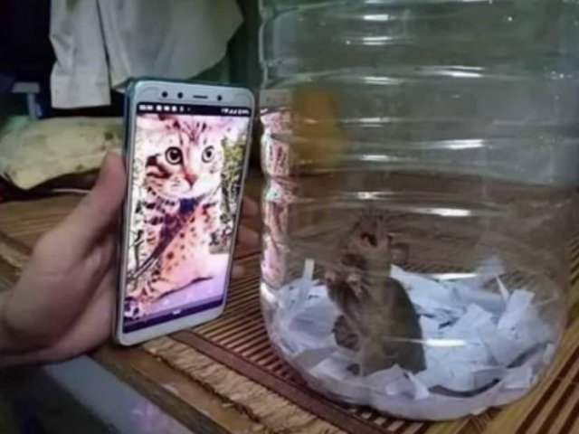 Acid Picdump. Part 1 (69 pics)