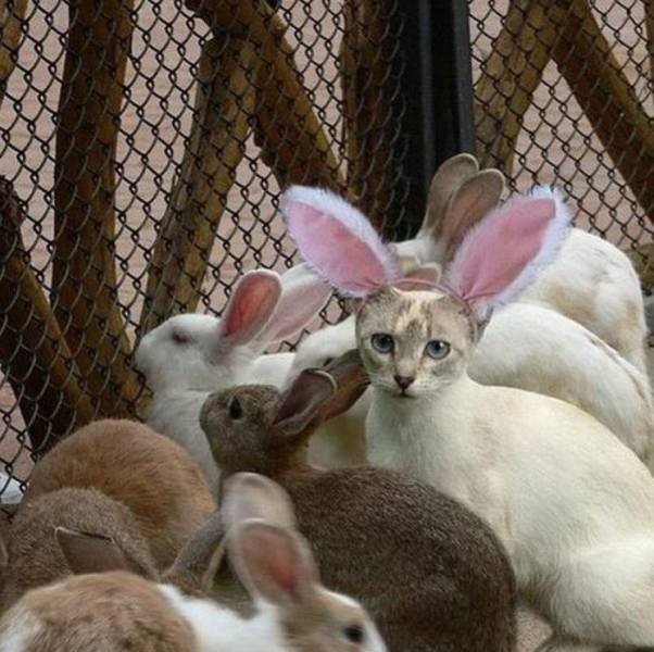 Acid Picdump. Part 1 (69 pics)