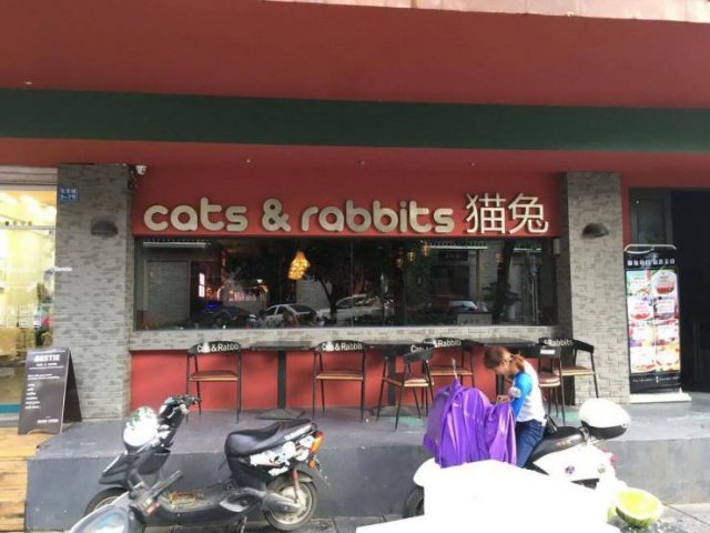 Acid Picdump. Part 1 (69 pics)