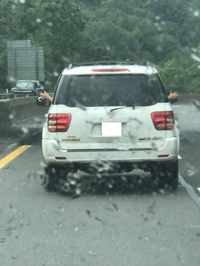 Acid Picdump. Part 1 (69 pics)