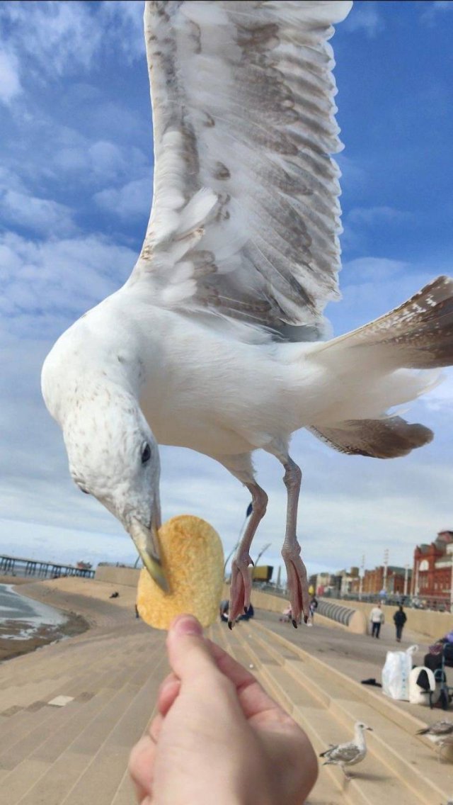 Acid Picdump. Part 1 (69 pics)