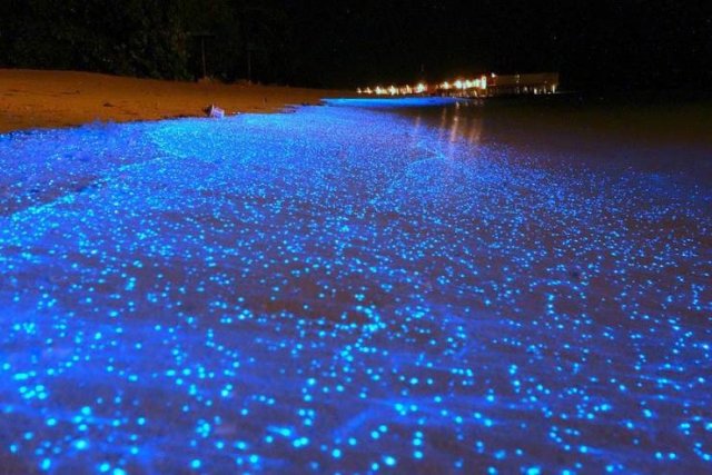 Acid Picdump. Part 1 (69 pics)