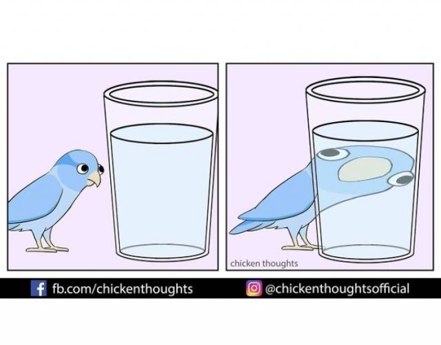 Funny Comics About Birds (30 pics)